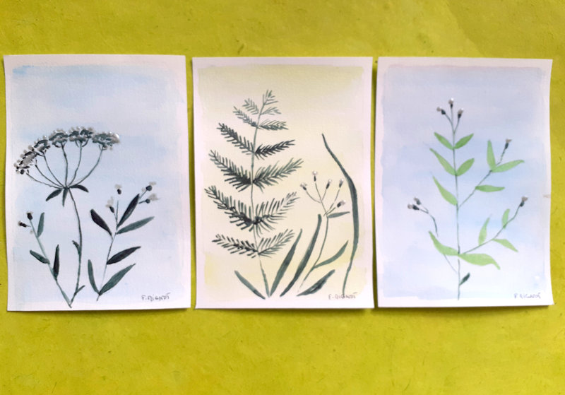 aqua original 3 cartes simple végétal ombellifère