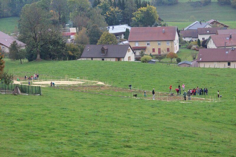IMG_3934