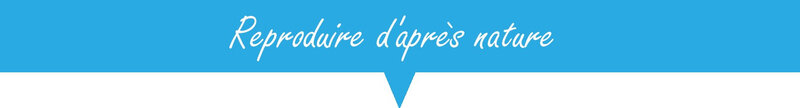 REPRODUIRE 1