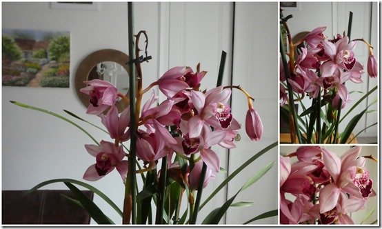 Bouquet15