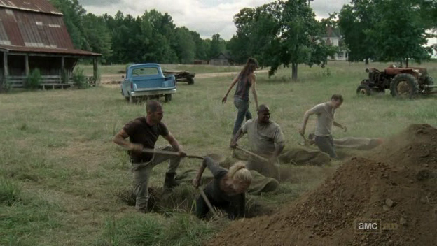 Walking Dead - Seconde partie Saison 2 - La loi des séries