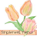 tulipesmerci_1_