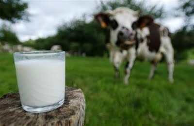 astuce-conseils-eau-lait-mincir