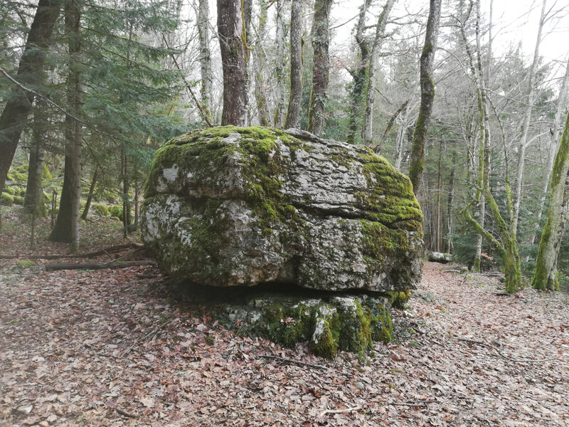 Miribel 31 janvier 2021 (29)