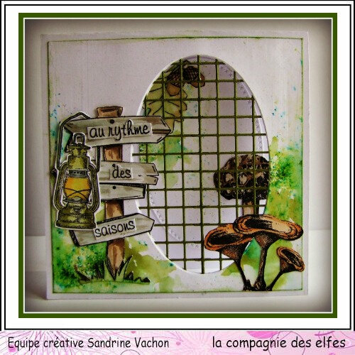 Carte Champignons DT LCDE (1)