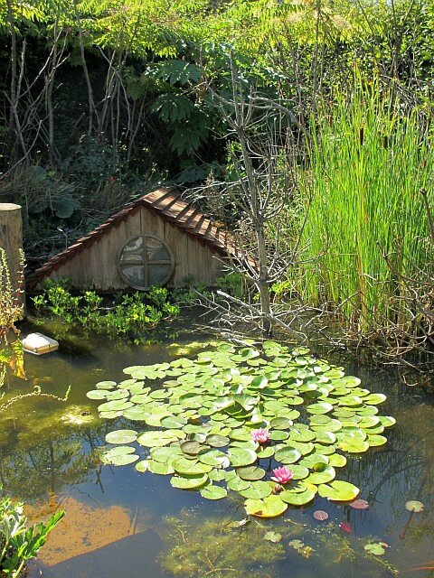 blog chau21