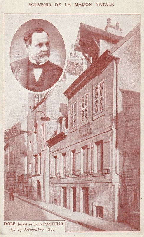 Carte Dole Maison Pasteur R
