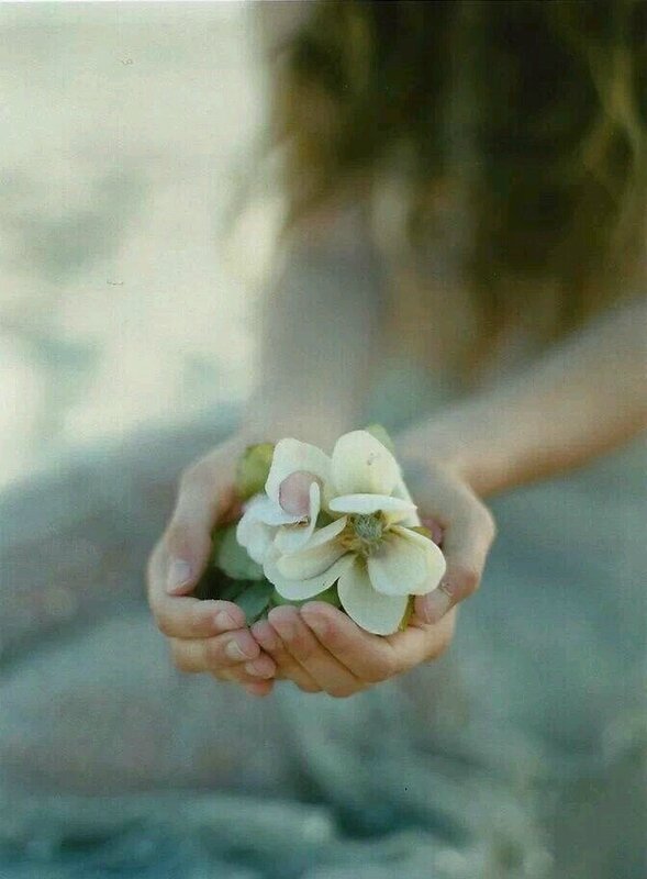 tumblr_o8hge3Kfk61s4u55to1_1280