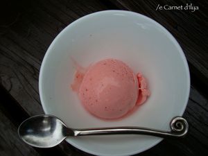 g_yaourt_fraises