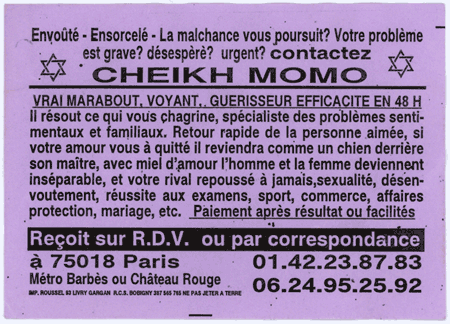 cheikh_momo_mauve