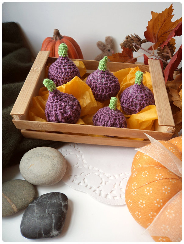 Tuto figue au crochet Cam&Drey bricolent