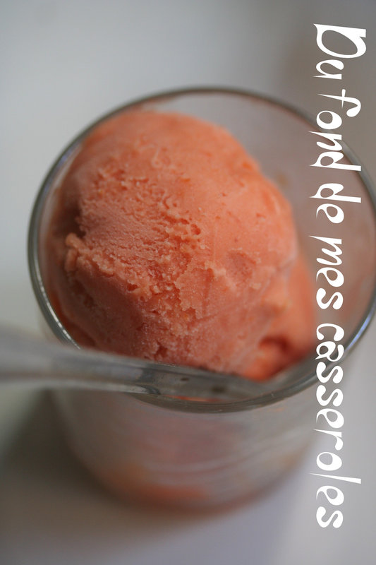 sorbet abricot-nectarine