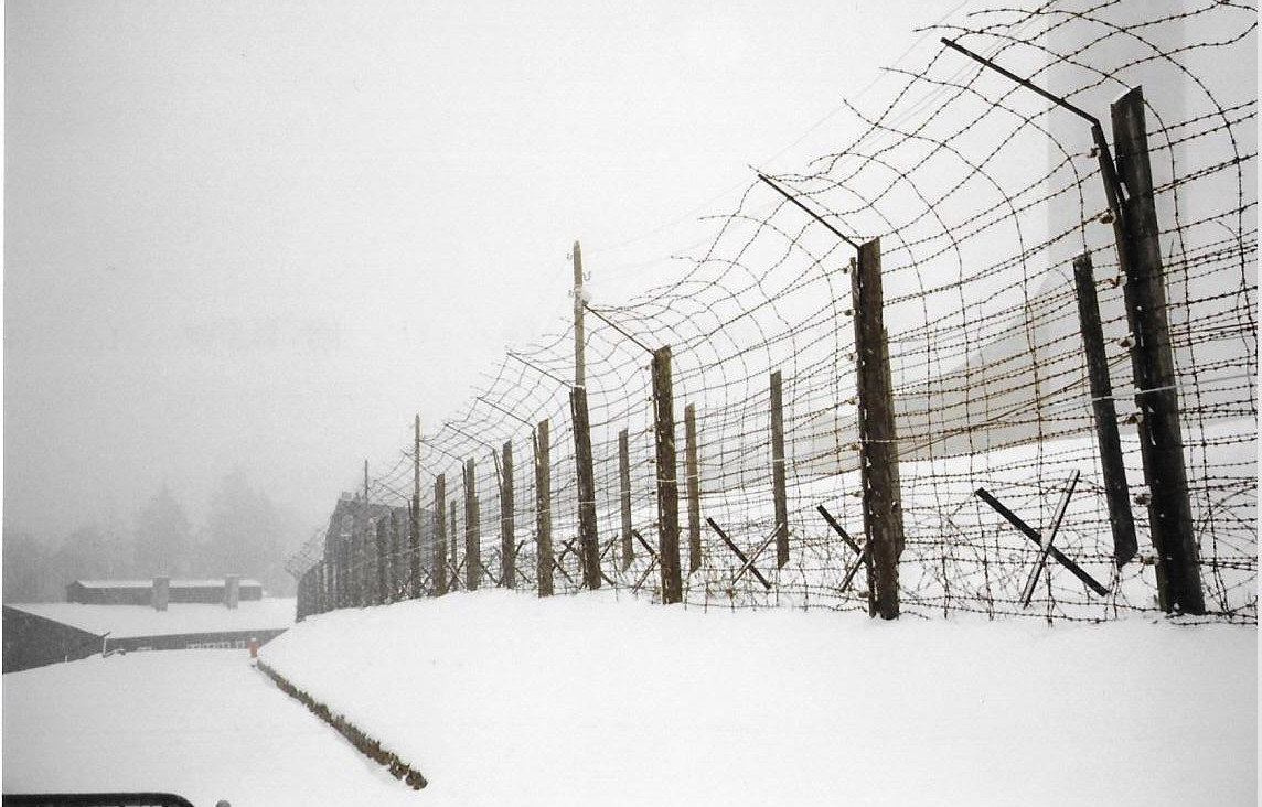 Natzwiller, camp du Struthof, barbelés (67)