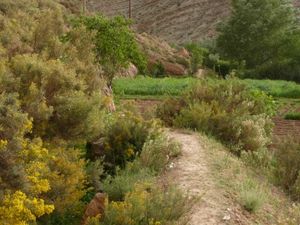 Vallée du Dades (19)