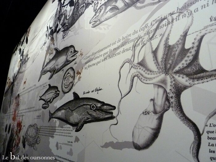69 Musée d'Histoire Naturelle La Confluence Lyon Dans la chambre des merveilles