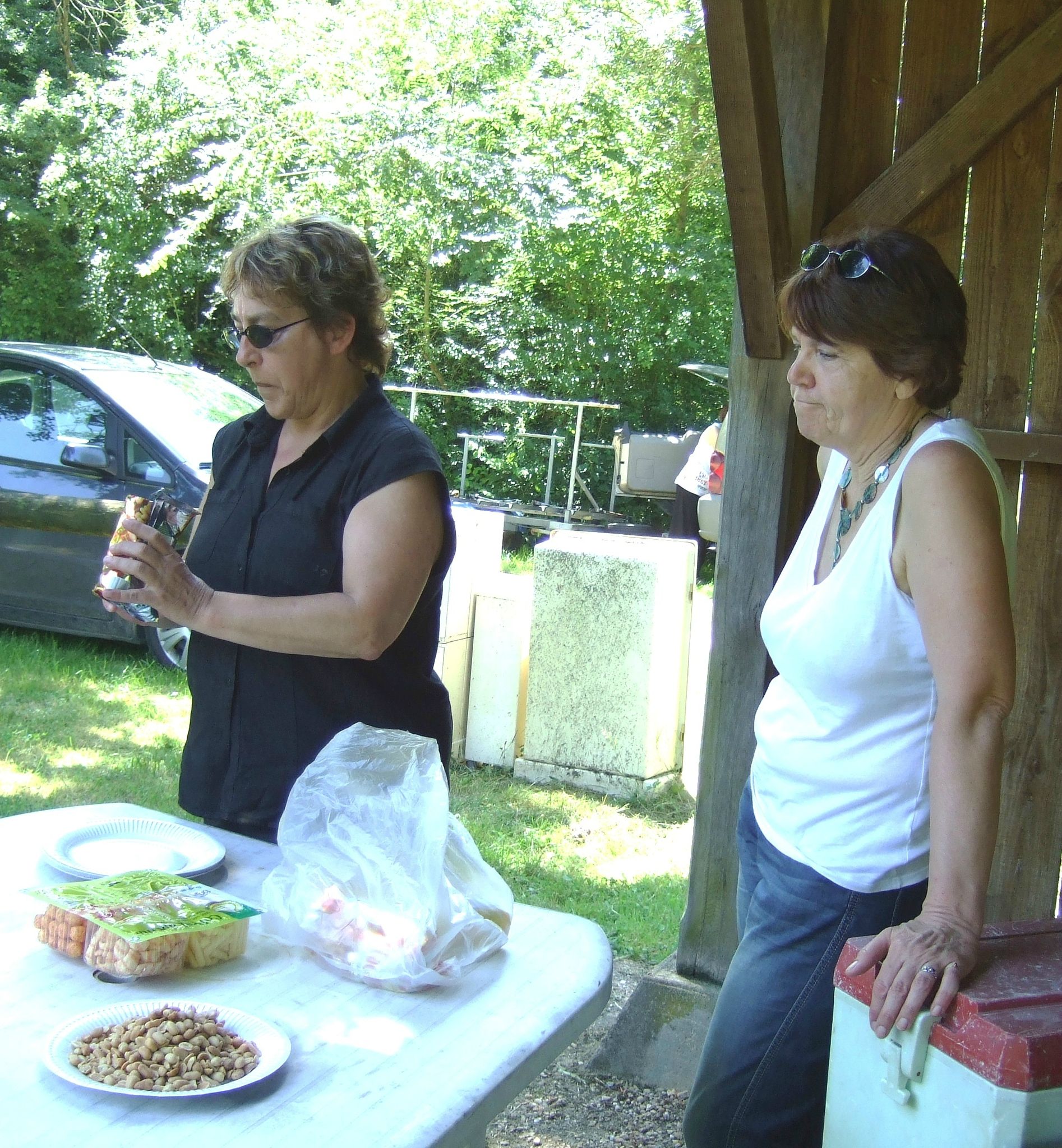 2013_07060039