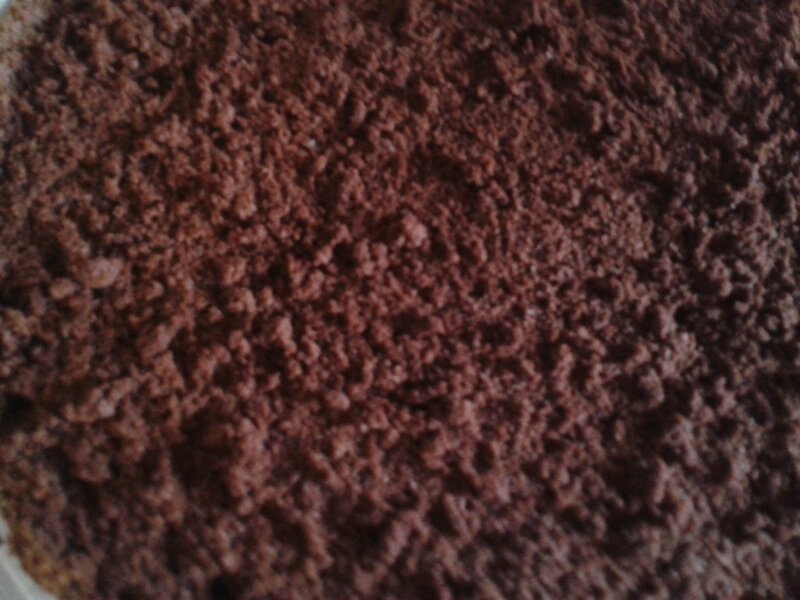génoise au chocolat