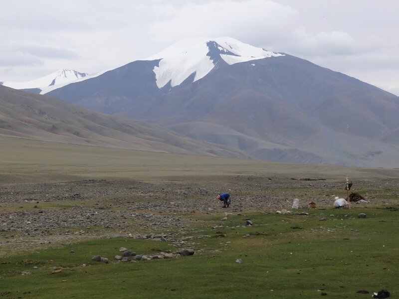 Le campement kazak au pied des monts Tsambagarav dans la chaîne de l'Altaï - aïmag Hovd