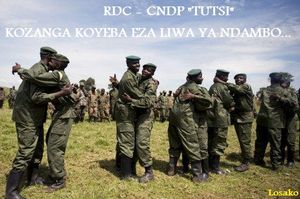 fardc_cndp3