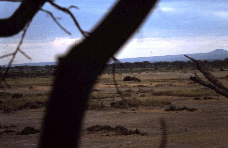 amboseli paysage c