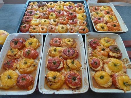 4-tomates farcies cuites (1)