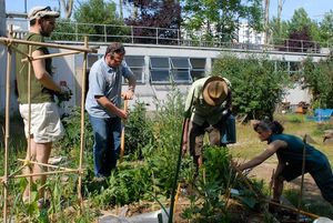 jardins partagés 2