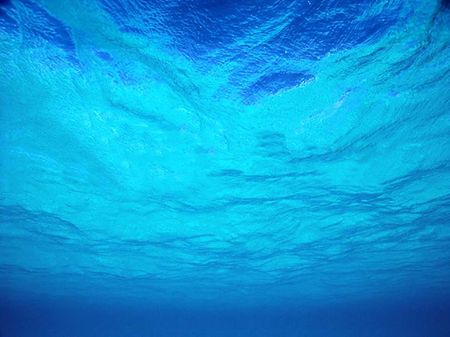 mer_surface
