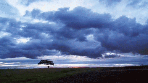 ciel