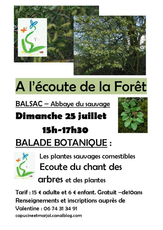 Balsac chant des plantes dimanche 25 juillet