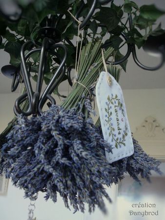 lavande du jardin3