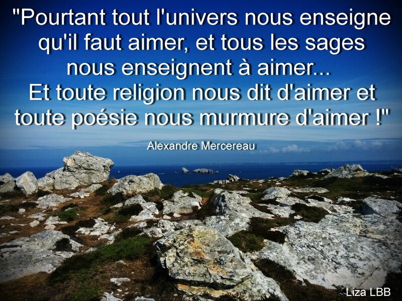 16 Alexandre Mercereau