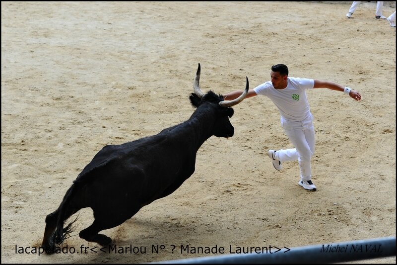 ST Laurent D Aigouze le17 04 2016 LAURENT-66