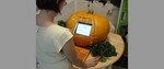 pumpkin_computer_jpg