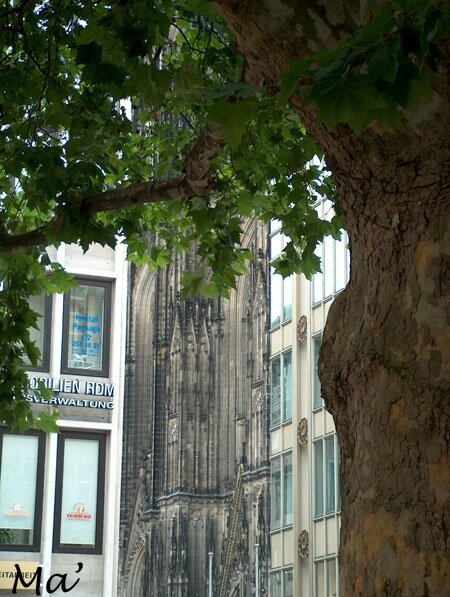 2008_cologne-(4)