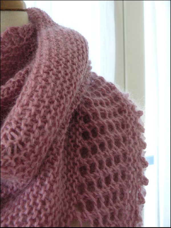 tea rose 4