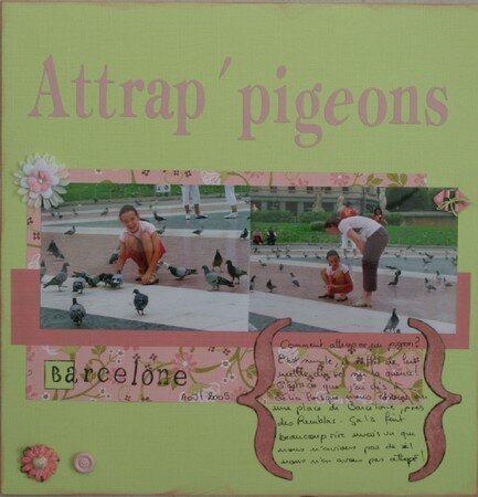 Attrap_pigeons