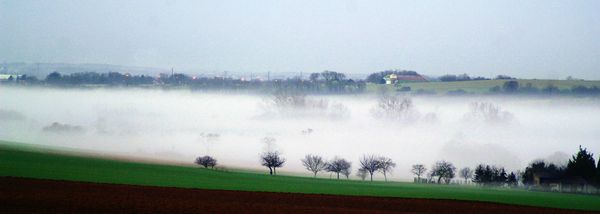 Viville brouillard (1)