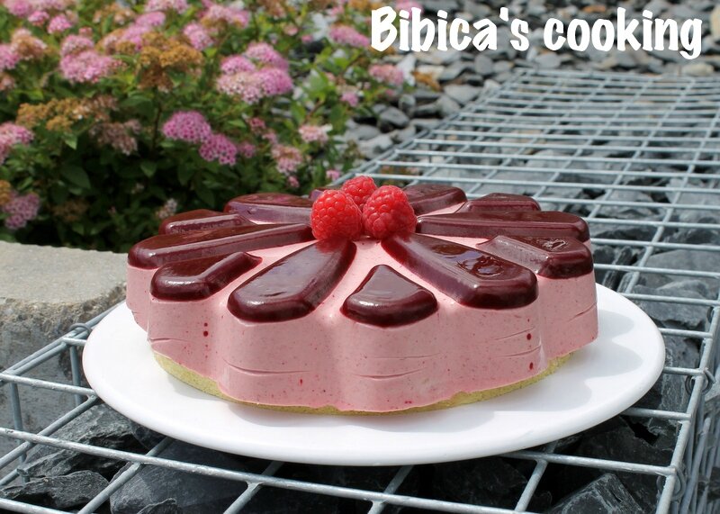 Bavarois framboise sur biscuit amande-pistache face