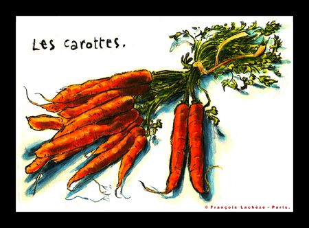 __Les_carottes