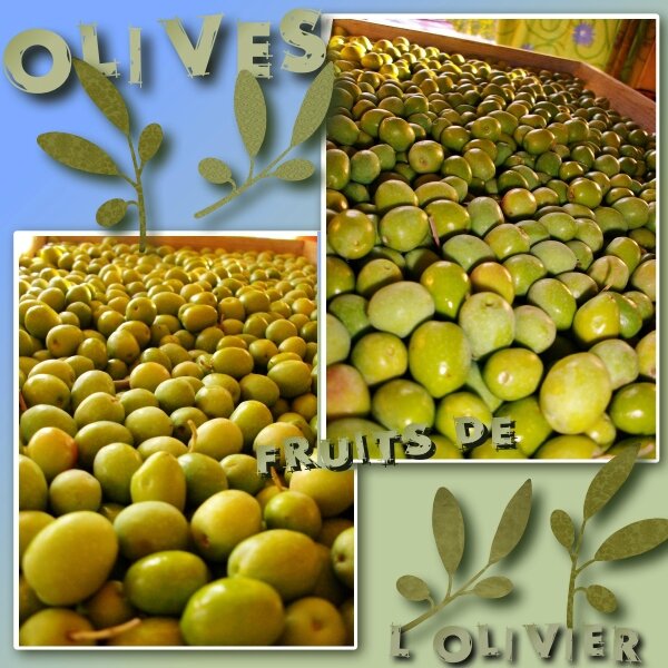 2013-10-21_olives