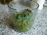 pesto__15_