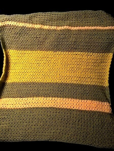 plaid pour chat