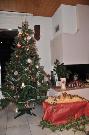 The_Waeber_Patricia_and_Michel_s_Christmas_tree__1