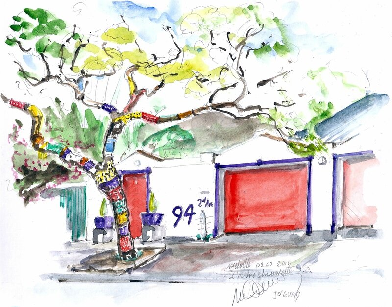 l' arbre chaussette à Mellevile