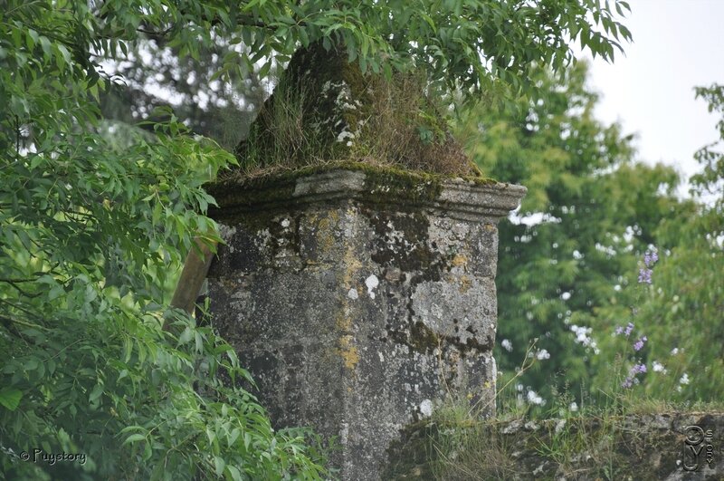 Puy20060541