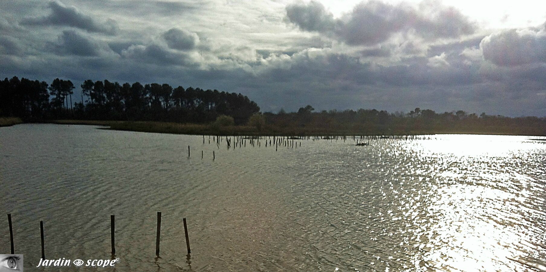 Parc ornithologique du Teich