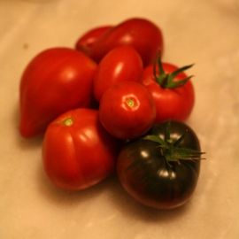 tomates_rouges