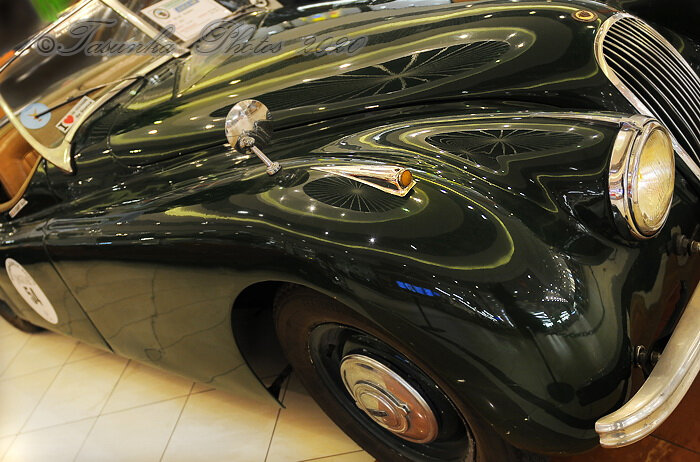 JaguarXK120_copyrightTasunka2018_ (4)