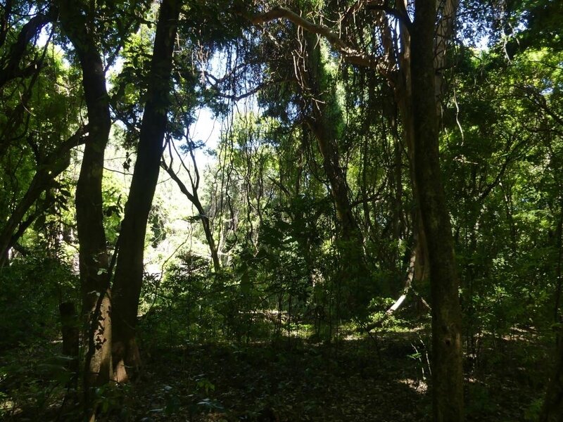 P1060188