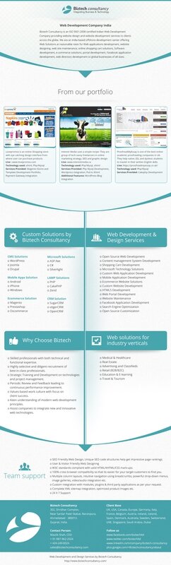 Infographic of web Development Company by Biztech Consultancy